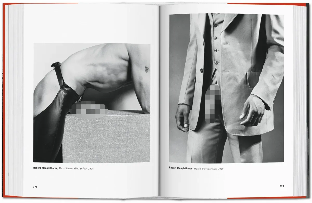 The Male Nude (ENG, FR, GER) - Image 2