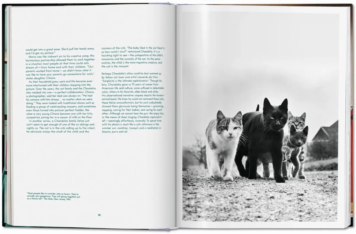 Walter Chandoha. Cats. Photographs 1942–2018 (ENG, FR, GER) - Image 2