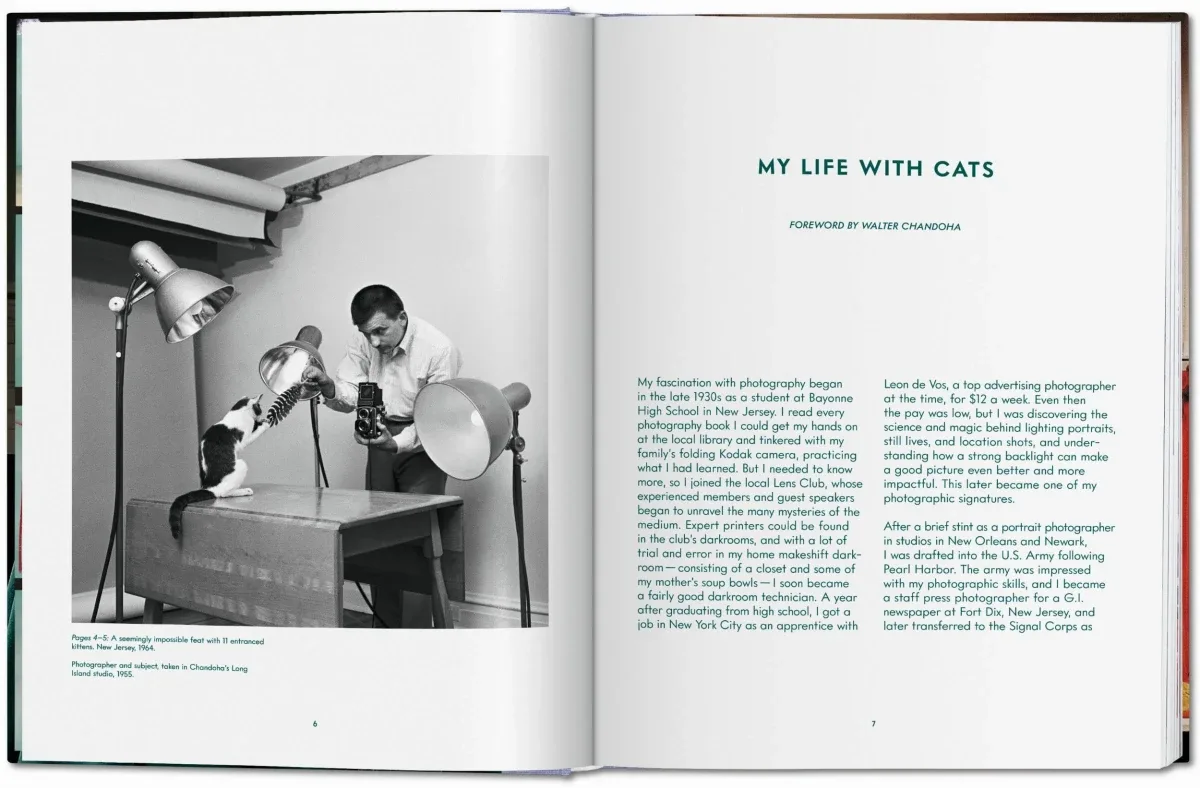 Walter Chandoha. Cats. Photographs 1942–2018 (ENG, FR, GER) - Image 3