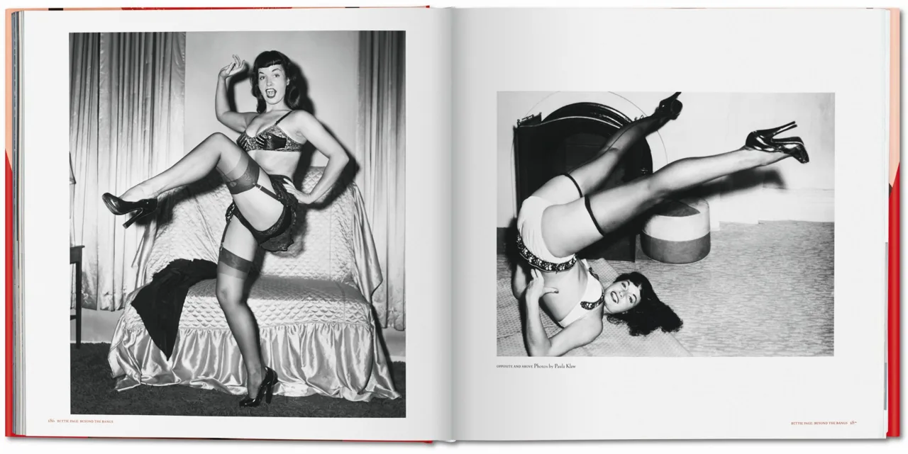 The Big Book of Legs - Image 4