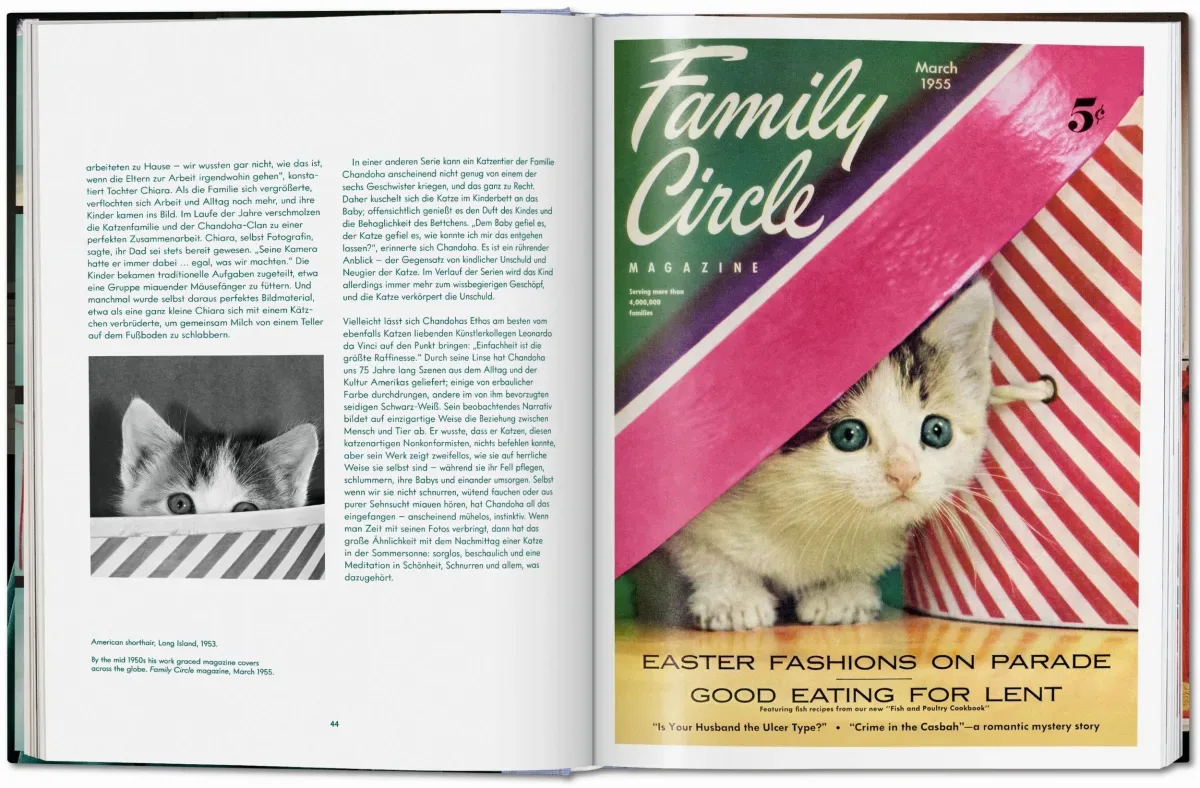 Walter Chandoha. Cats. Photographs 1942–2018 (ENG, FR, GER) - Image 5