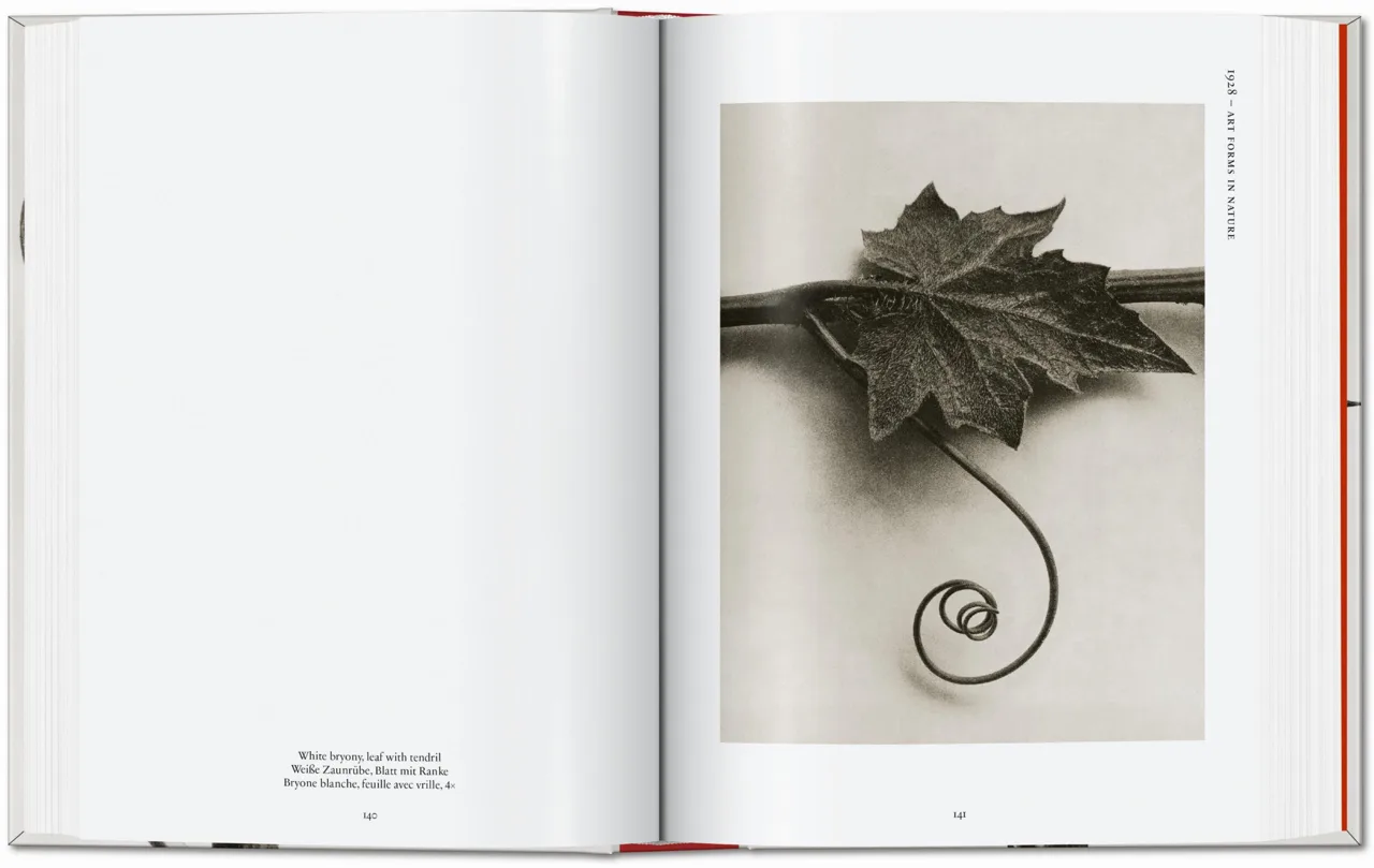 Karl Blossfeldt. The Complete Published Work. 40th Ed. - Image 6