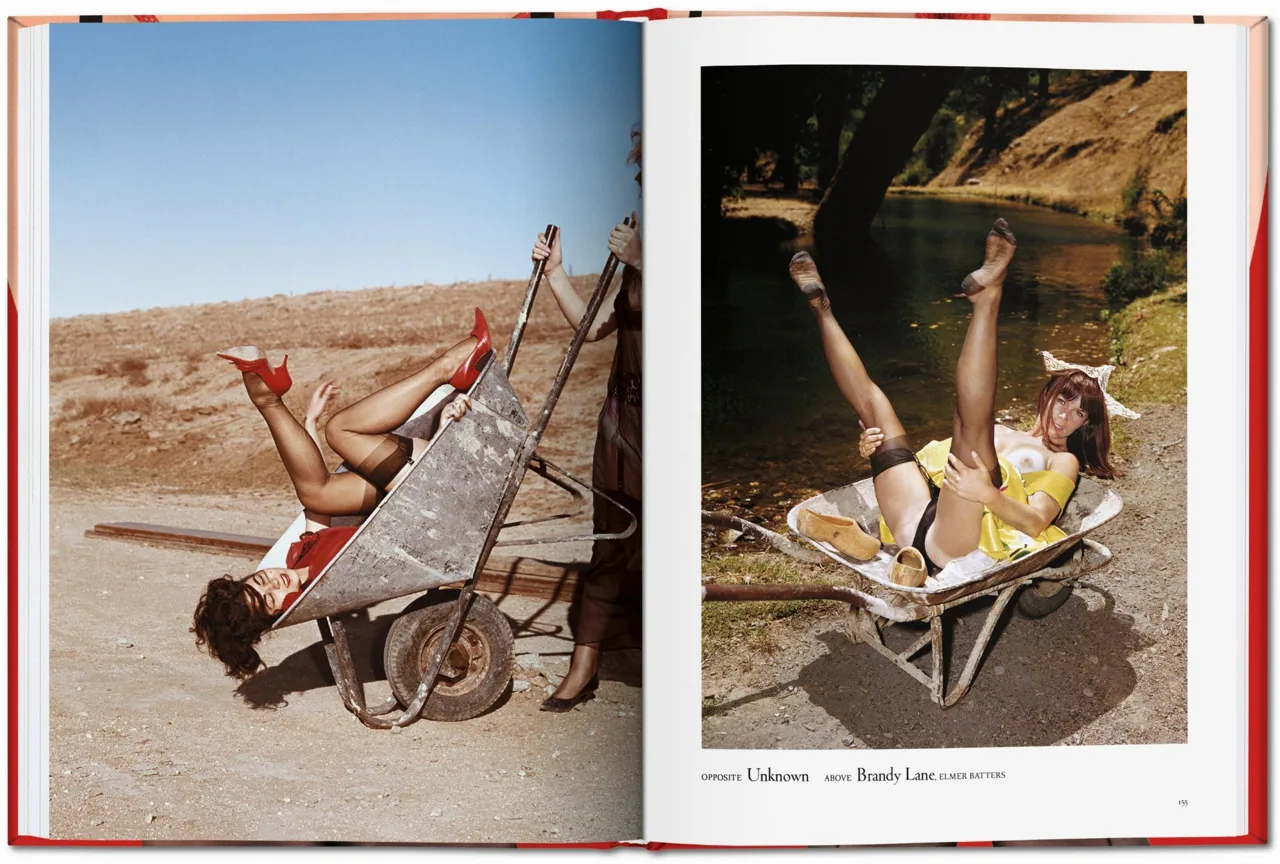 The Little Big Book Of Legs - Image 6