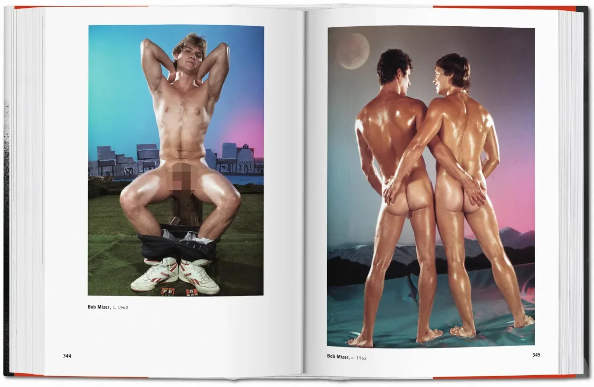 The Male Nude (ENG, FR, GER) - Image 7