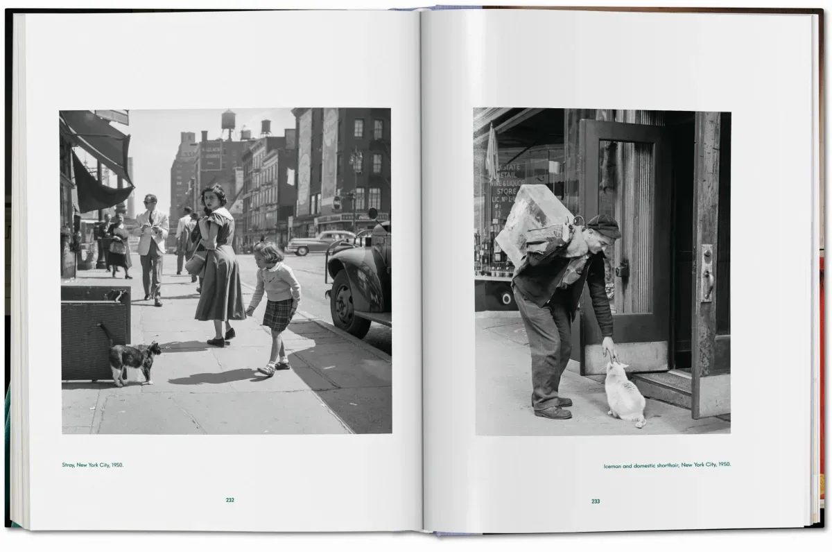 Walter Chandoha. Cats. Photographs 1942–2018 (ENG, FR, GER) - Image 7