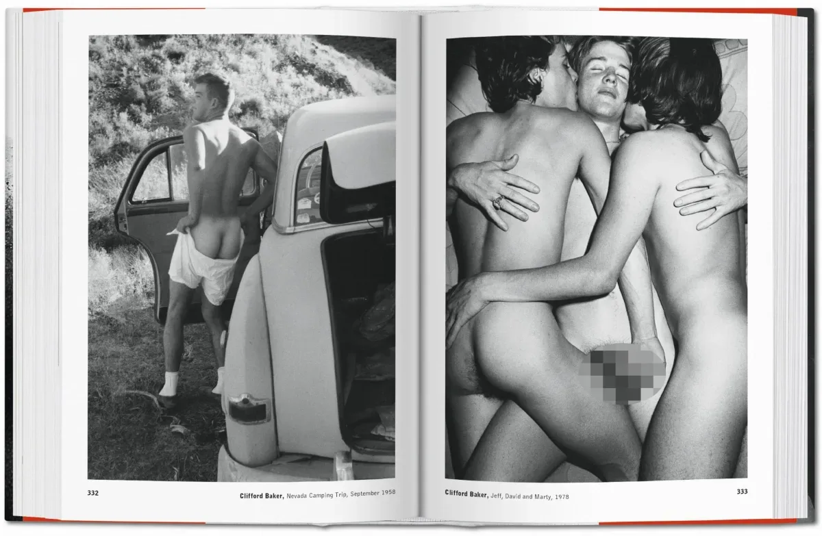The Male Nude (ENG, FR, GER) - Image 8