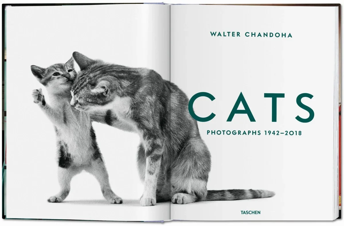 Walter Chandoha. Cats. Photographs 1942–2018 (ENG, FR, GER) - Image 9