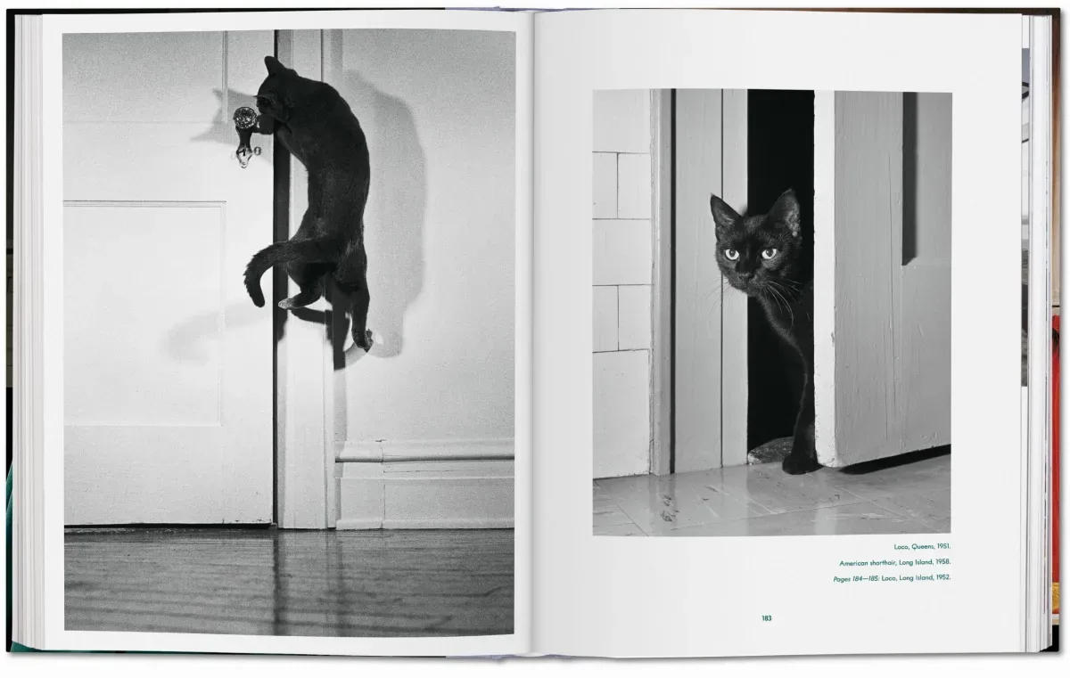 Walter Chandoha. Cats. Photographs 1942–2018 (ENG, FR, GER) - Image 13