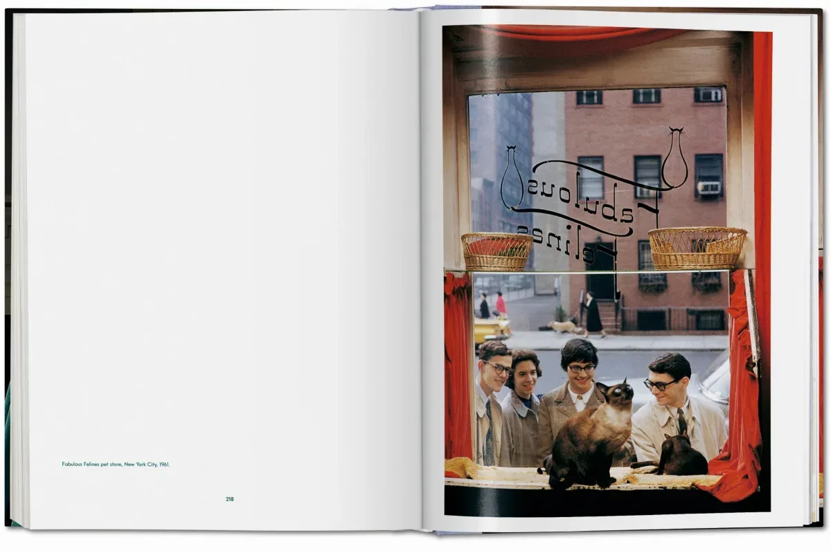 Walter Chandoha. Cats. Photographs 1942–2018 (ENG, FR, GER) - Image 16