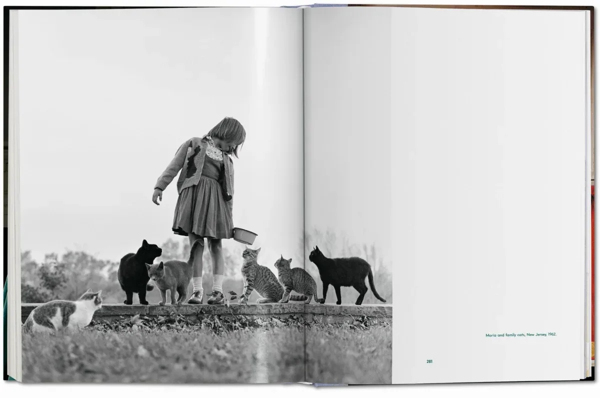 Walter Chandoha. Cats. Photographs 1942–2018 (ENG, FR, GER) - Image 17