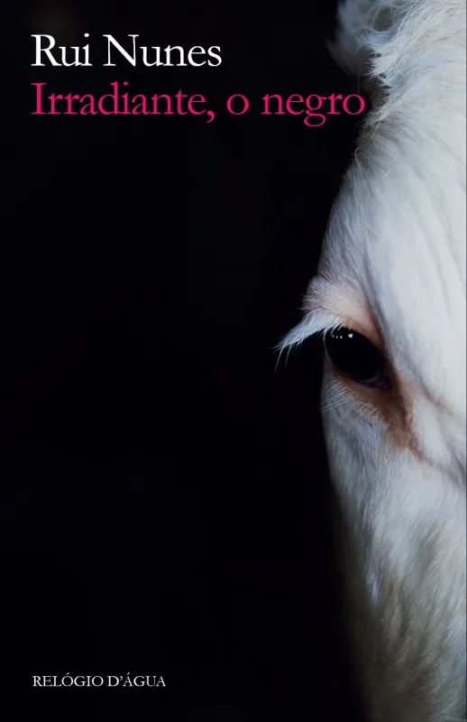 Imagem do produto  Irradiante, o negro