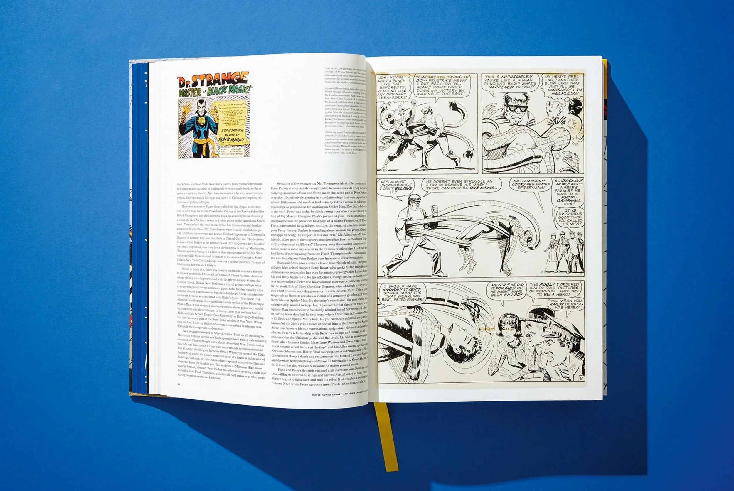 Marvel Comics Library. Spider-Man. Vol. 1. 1962 - 1964 (ENG) - Image 12