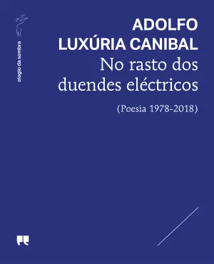 Imagem do produto  No Rasto dos Duendes Eléctricos (Poesia 1978 – 2018) - Livro 8