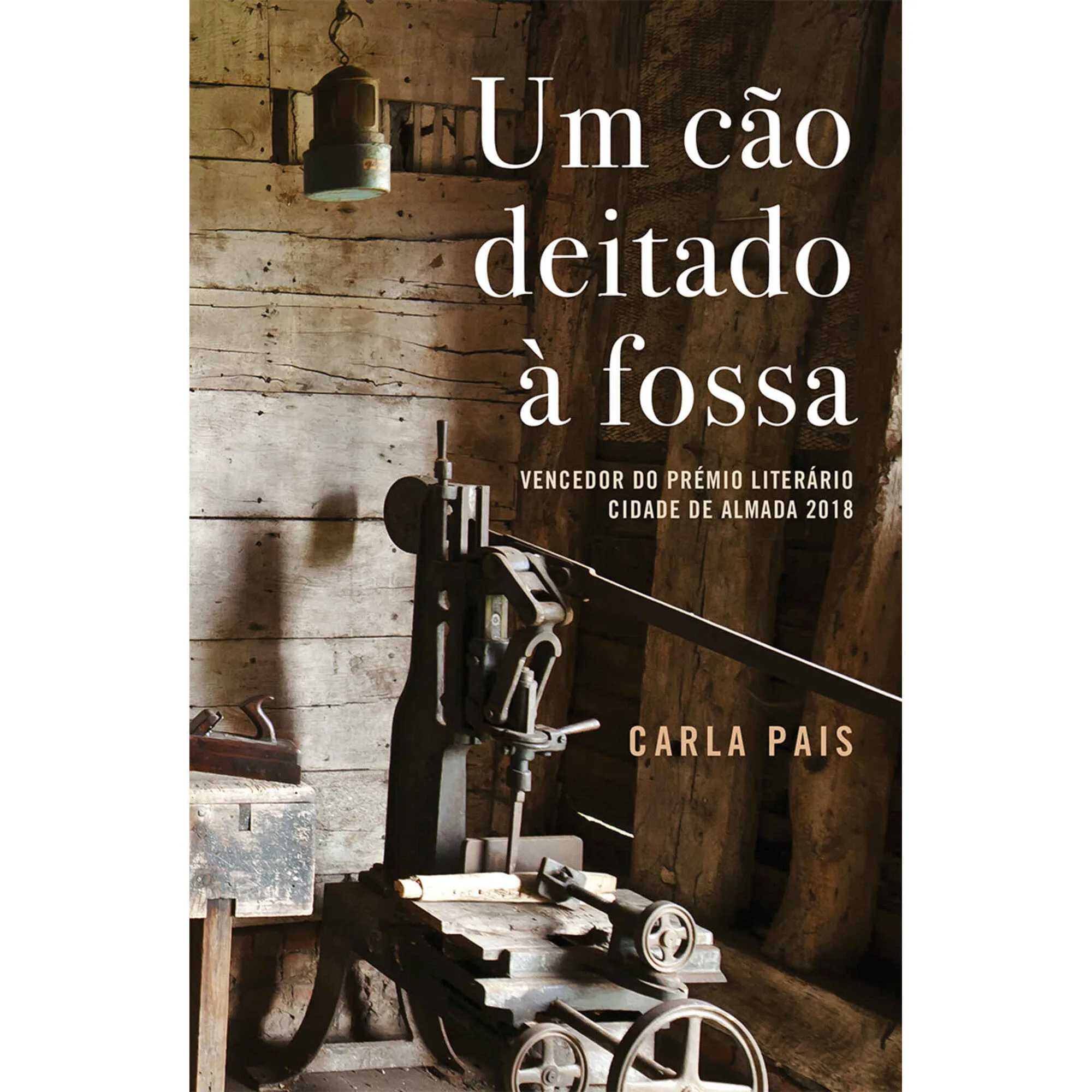 Imagem do produto  Um Cão Deitado à Fossa