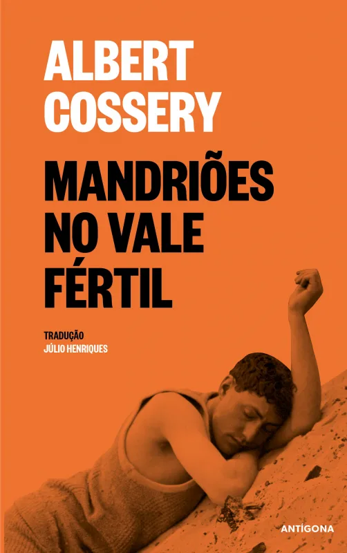 Imagem do produto  Mandriões no Vale Fértil