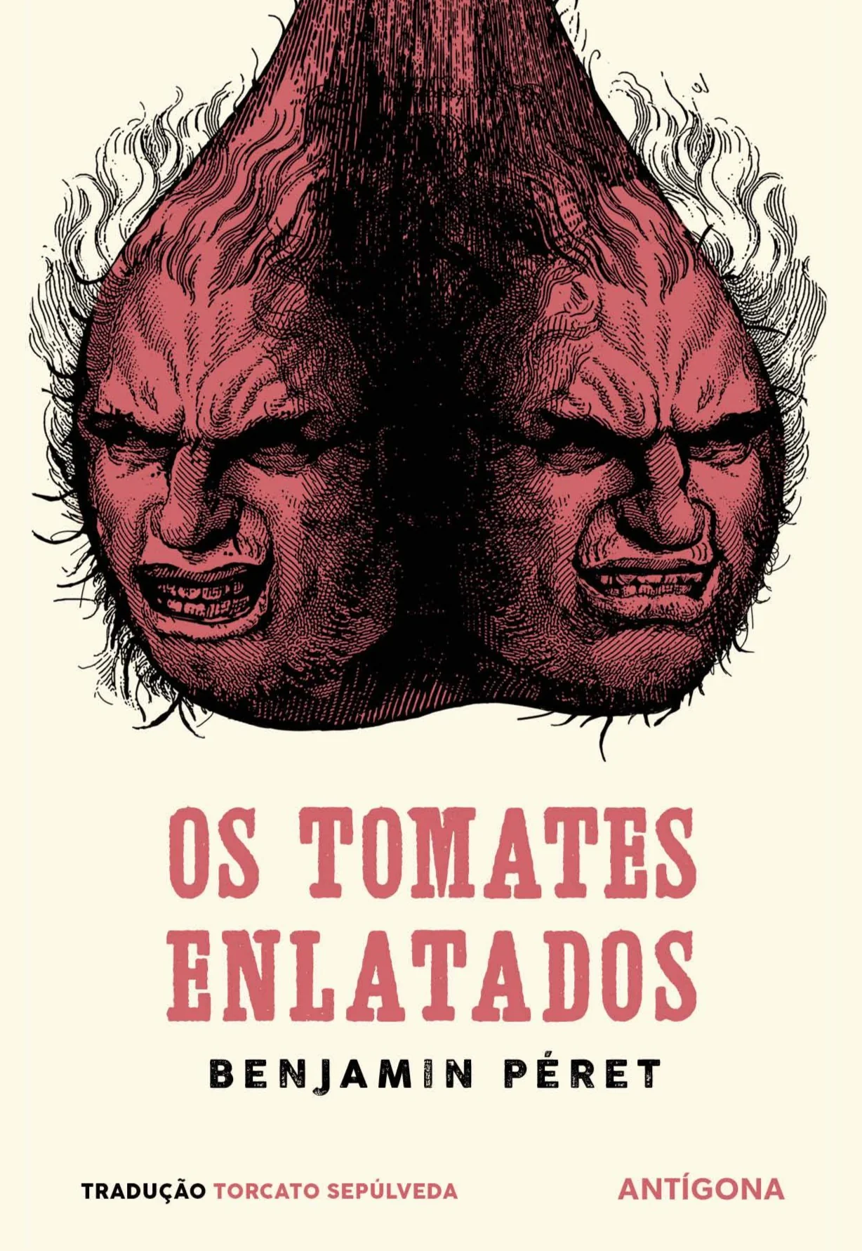 Imagem do produto  Os Tomates Enlatados