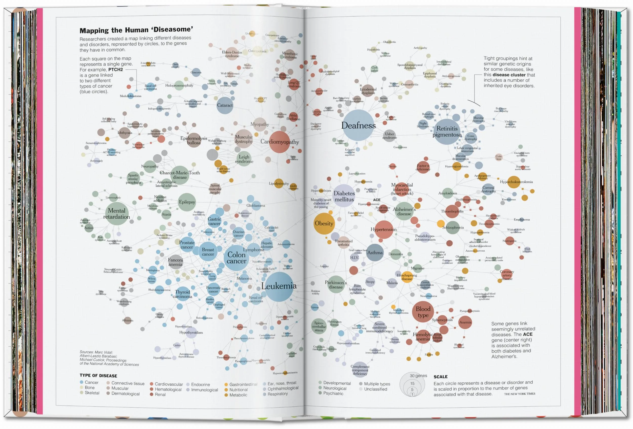Understanding the World. The Atlas of Infographics - Image 4