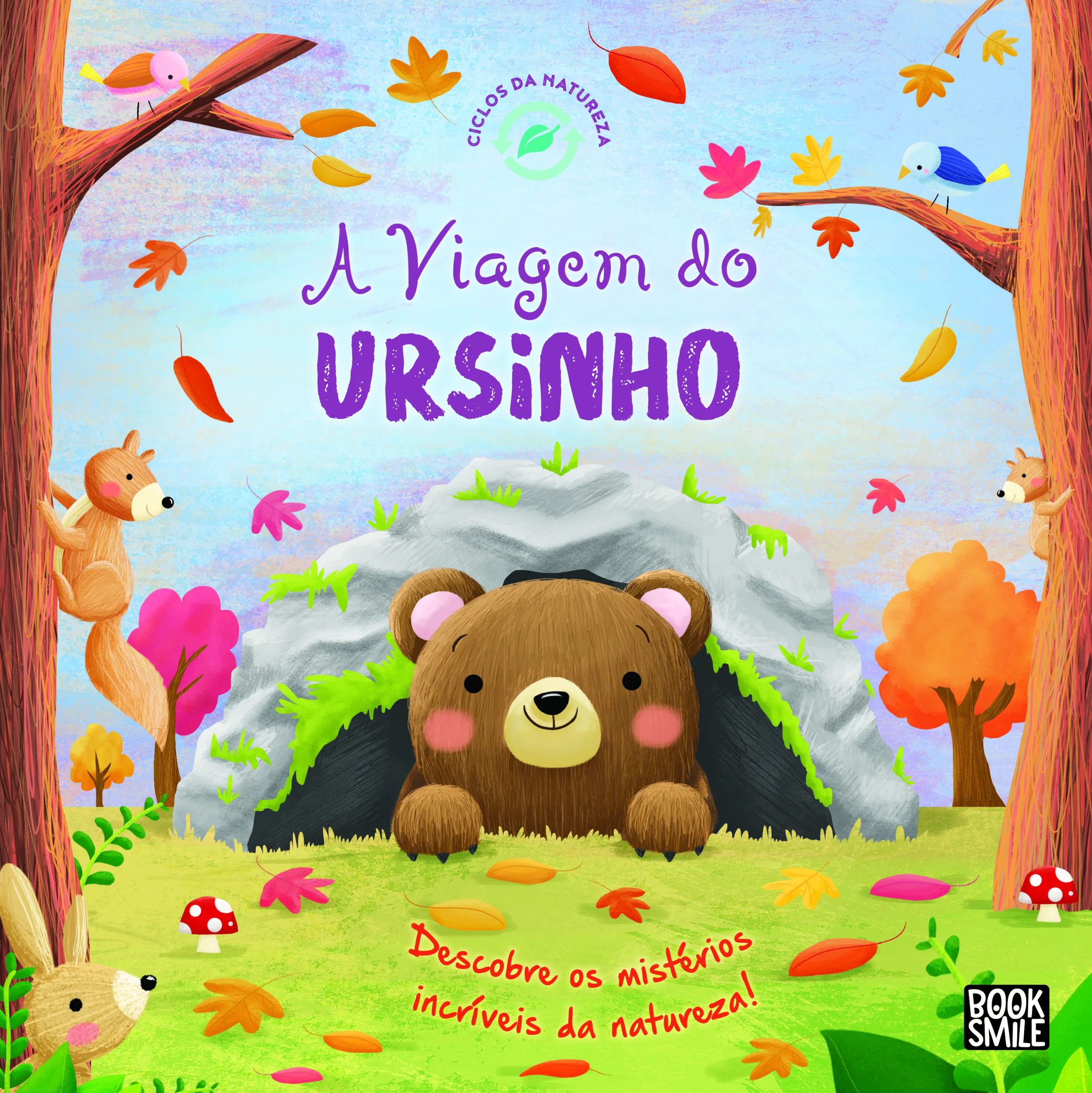 Imagem do produto  Ciclos da Natureza 10 - A Viagem do Ursinho