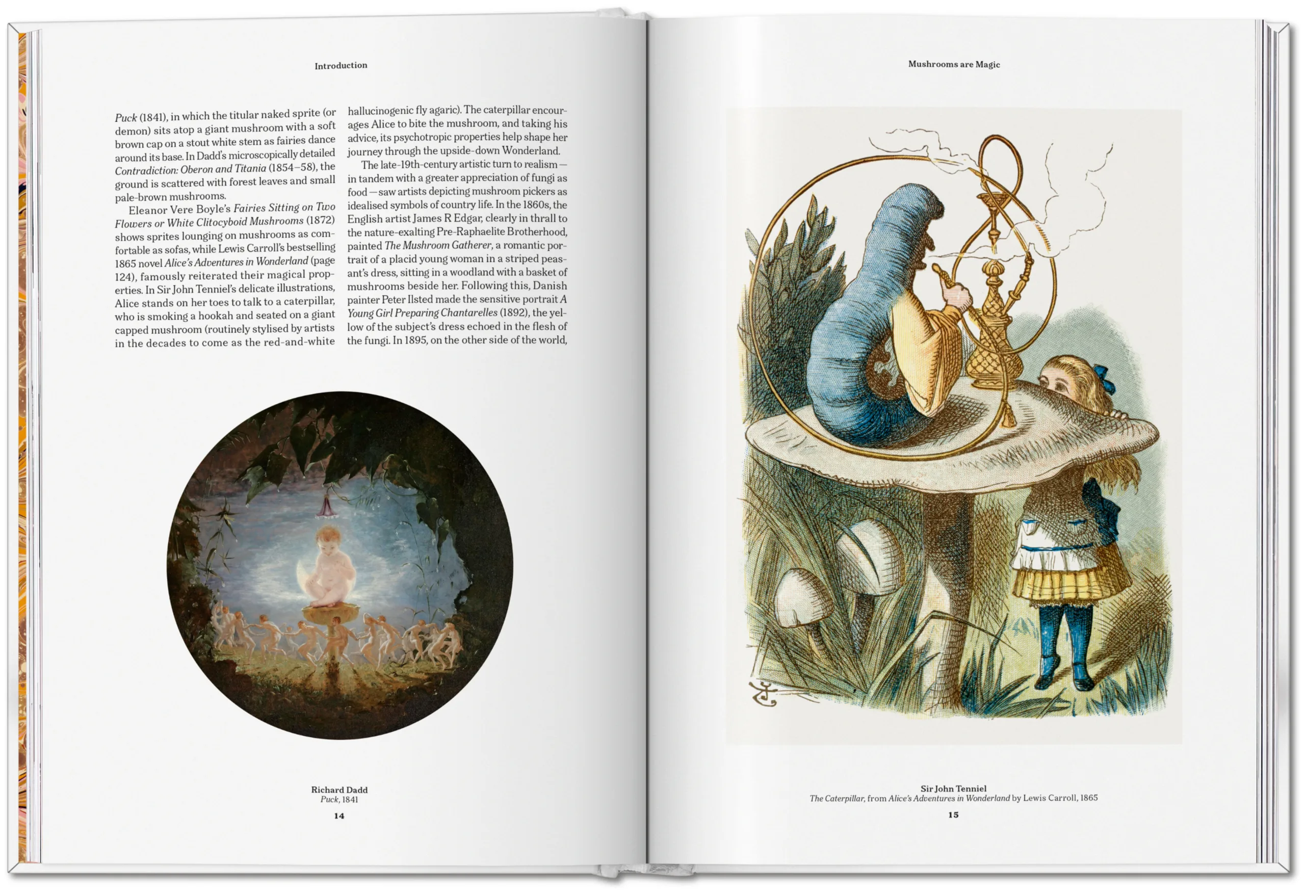 The Gourmand's Mushroom. A Collection of Stories & Recipes (ENG) - Image 4