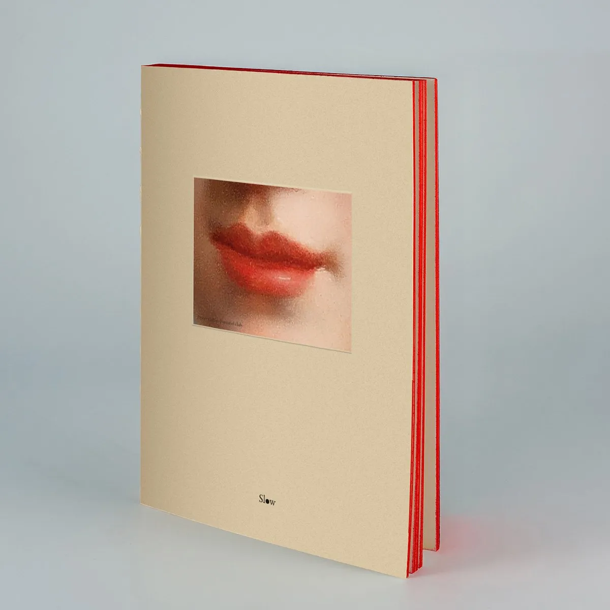 Libri Muti Anime & Corpi Portrait of a Lady