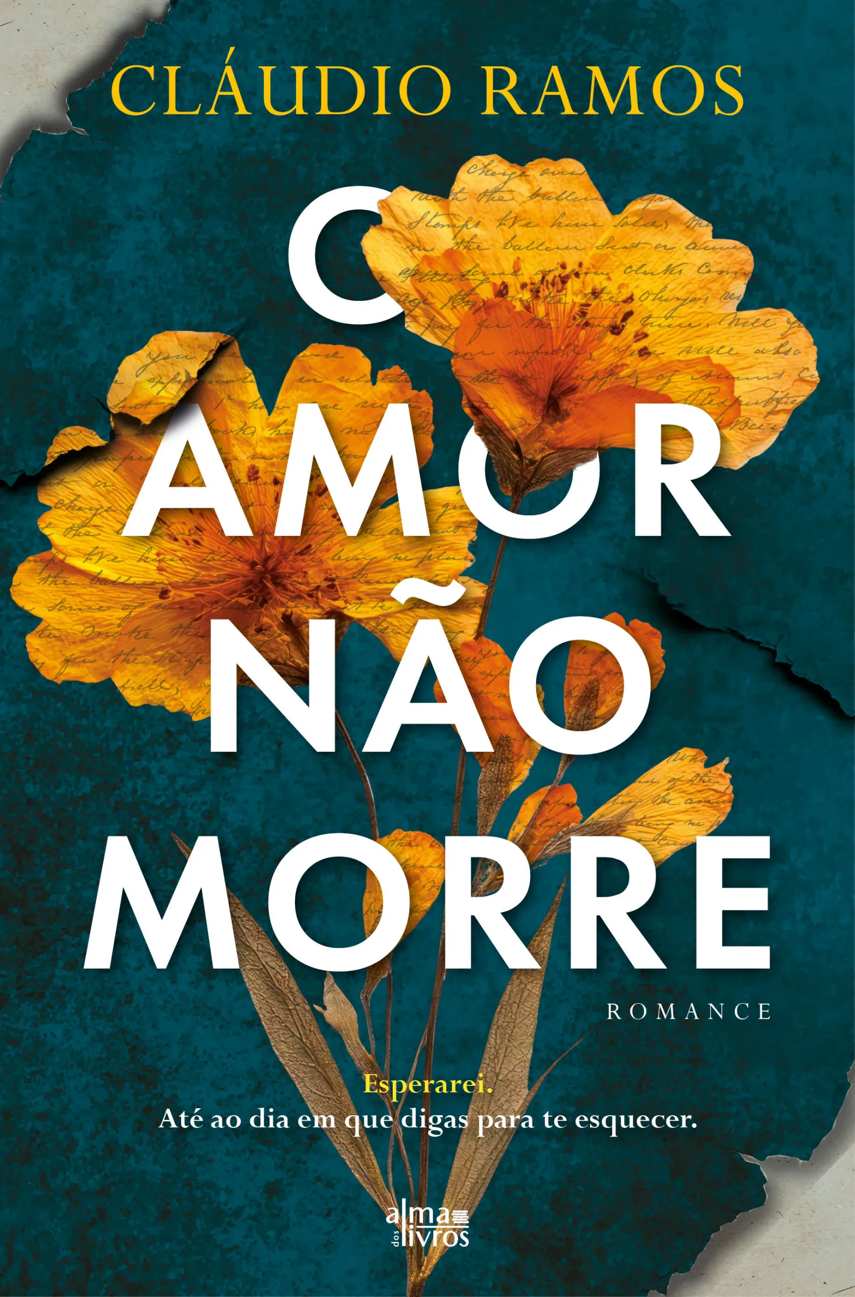 Imagem do produto  O Amor Não Morre
