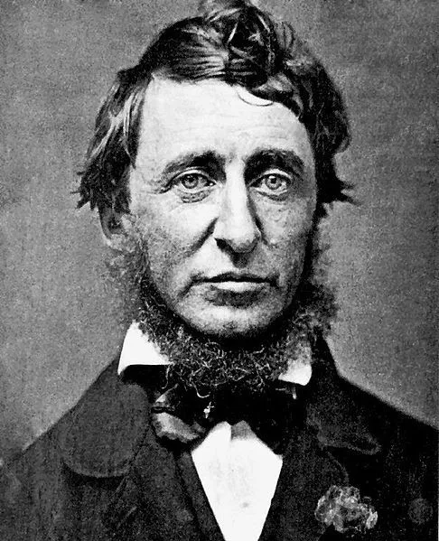 Fotografia do autor Henry David Thoreau