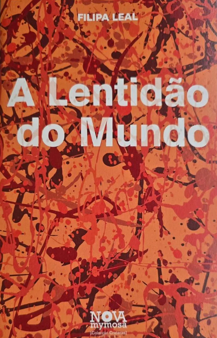 Imagem do produto  A Lentidão do Mundo
