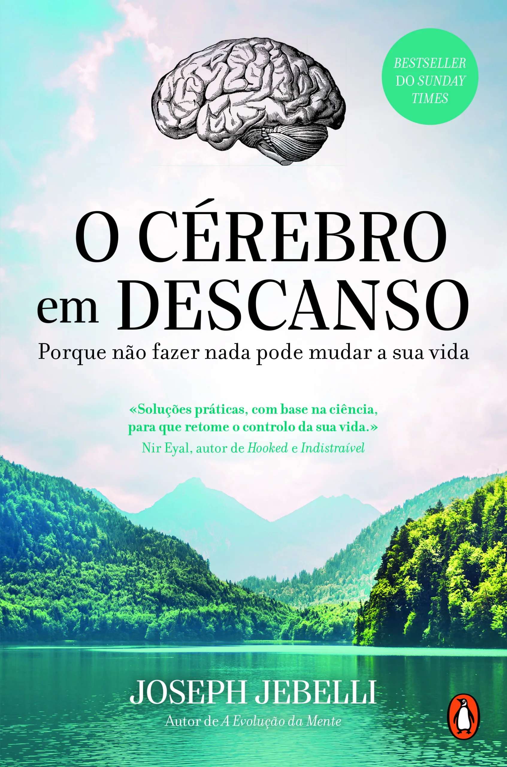 Imagem do produto  O Cérebro em Descanso