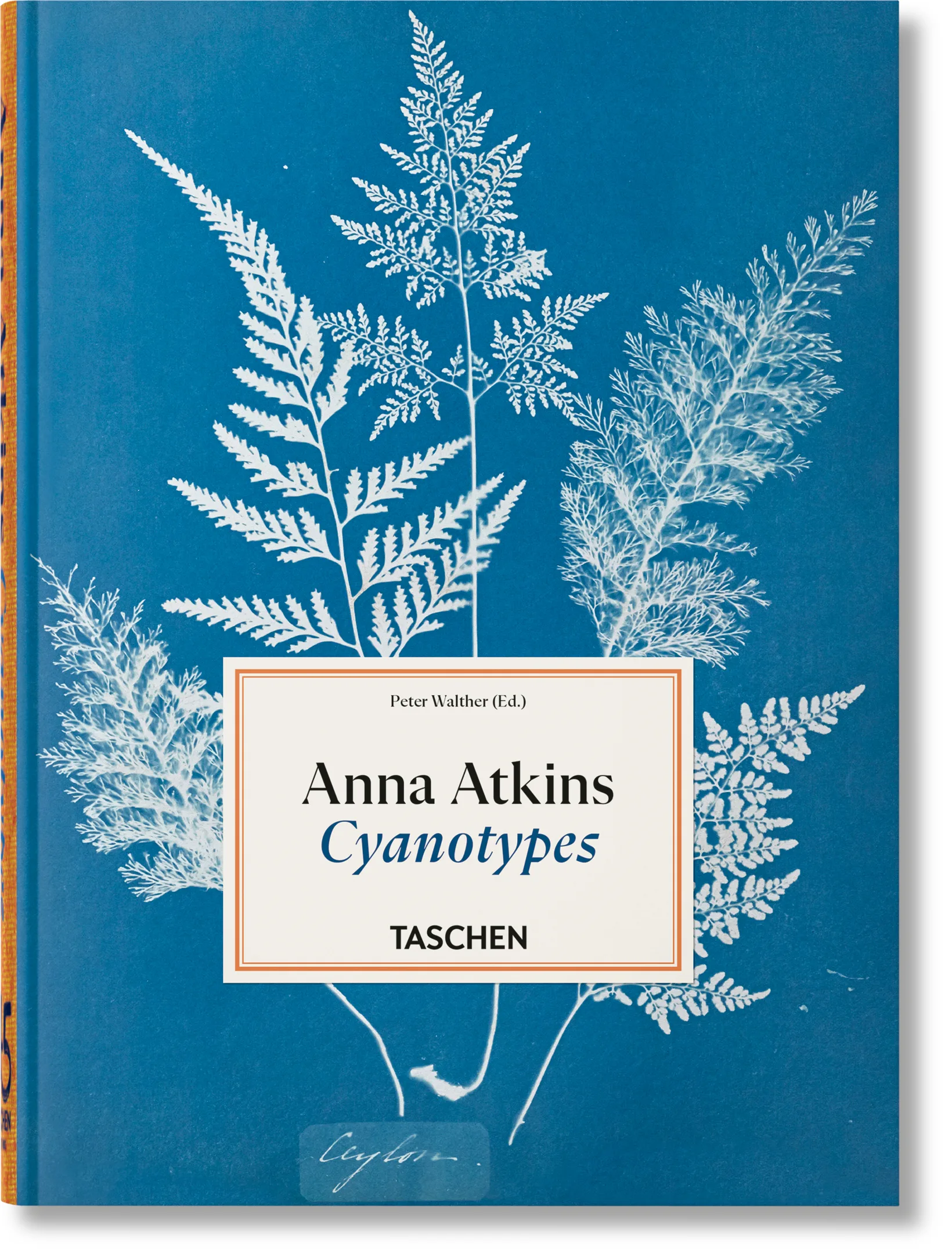 Imagem do produto  Anna Atkins. Cyanotypes. 45th Ed. (ENG, FR, GER)