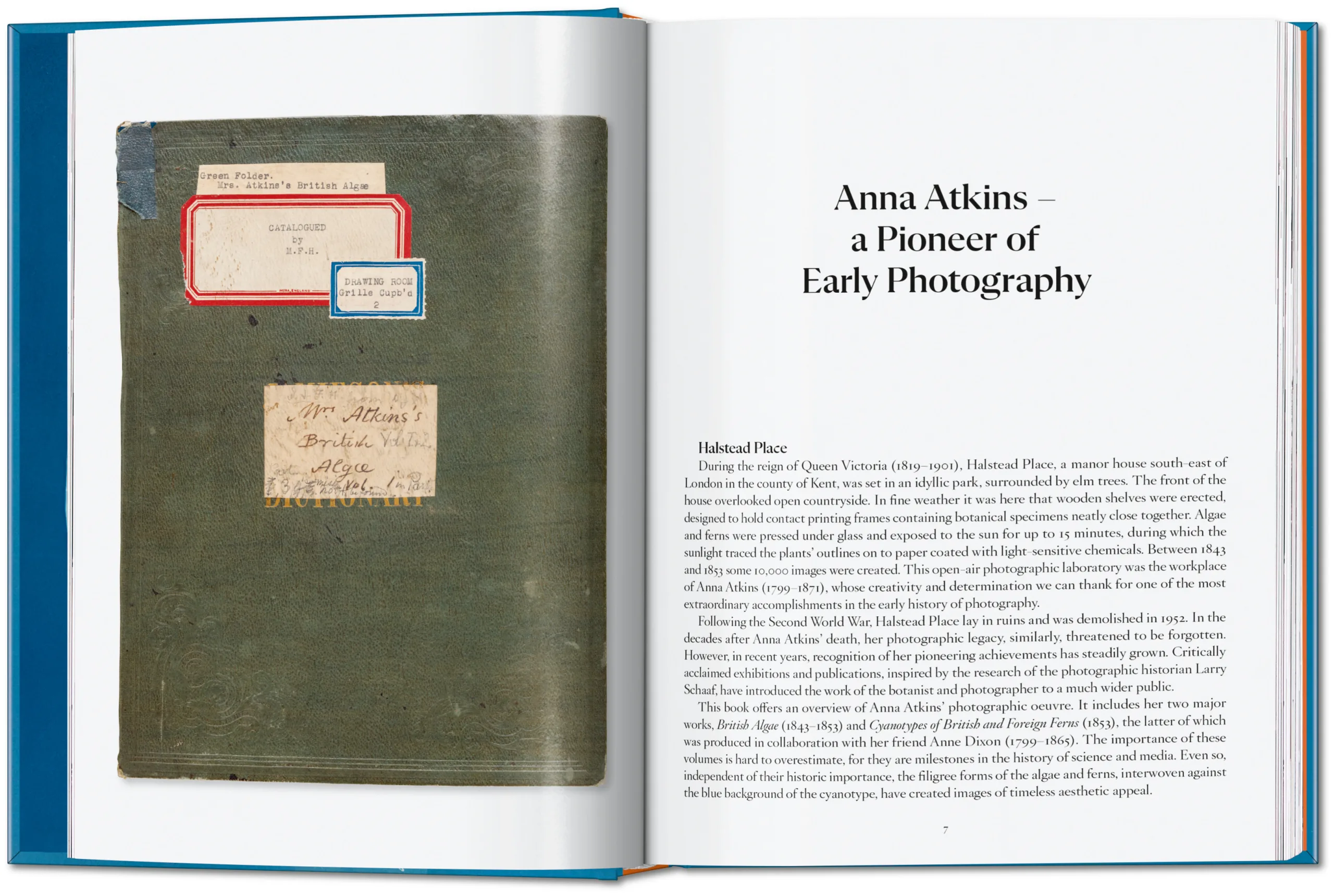 Anna Atkins. Cyanotypes. 45th Ed. (ENG, FR, GER) - Image 5