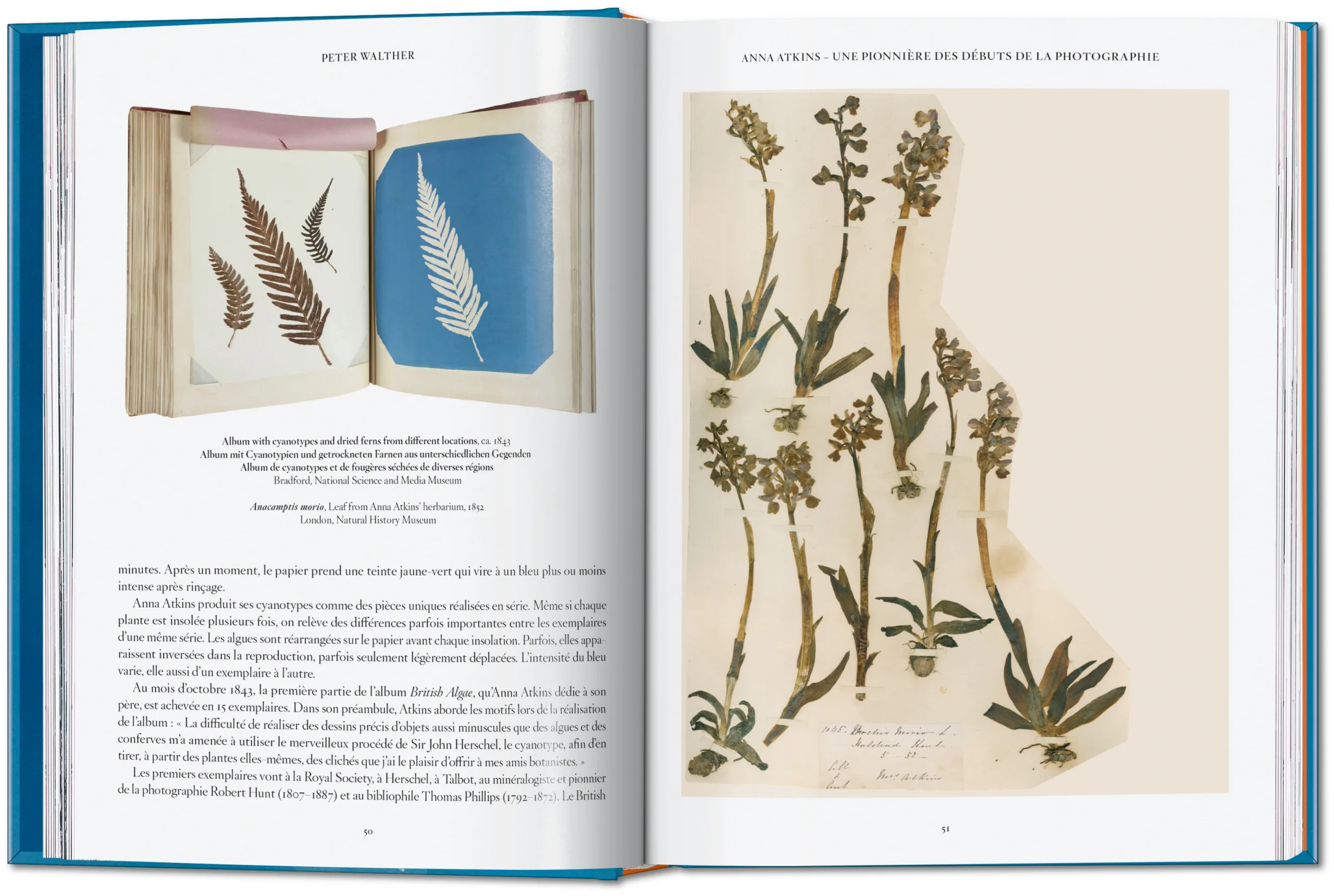 Anna Atkins. Cyanotypes. 45th Ed. (ENG, FR, GER) - Image 6