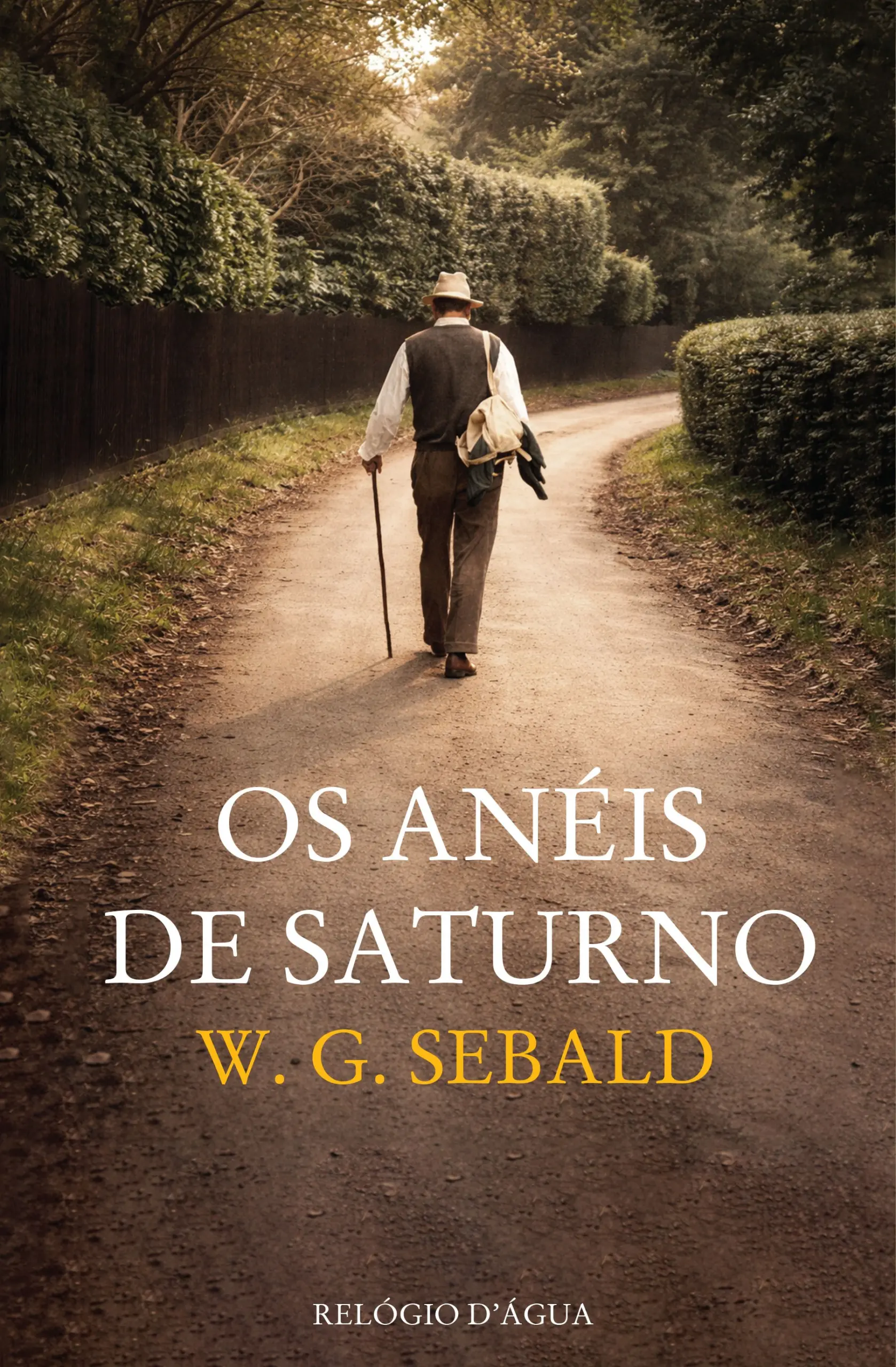 Imagem do produto  Os Anéis de Saturno