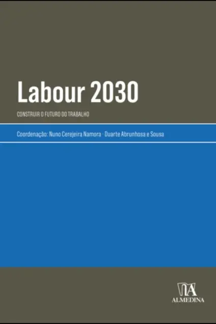 Imagem do produto  Labour 2030