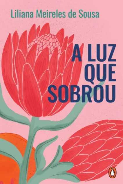 Imagem do produto  A Luz que Sobrou