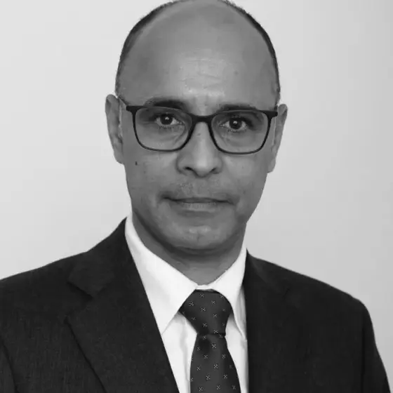 Gabriel Mithá Ribeiro