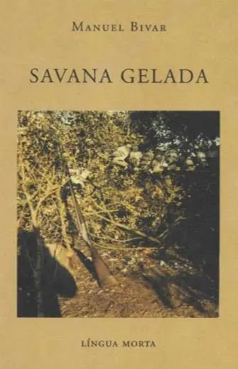 Imagem do produto  Savana Gelada
