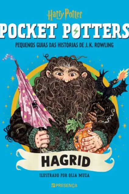 Imagem do produto  Pocket Potters - Hagrid