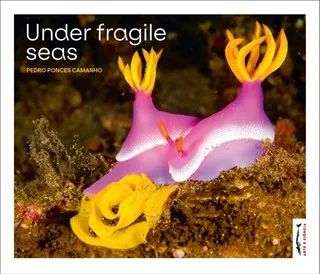 Imagem do produto  Under Fragile Seas