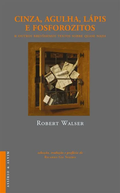 Imagem do produto  Cinza, Agulha, Lápis e Fósforozitos