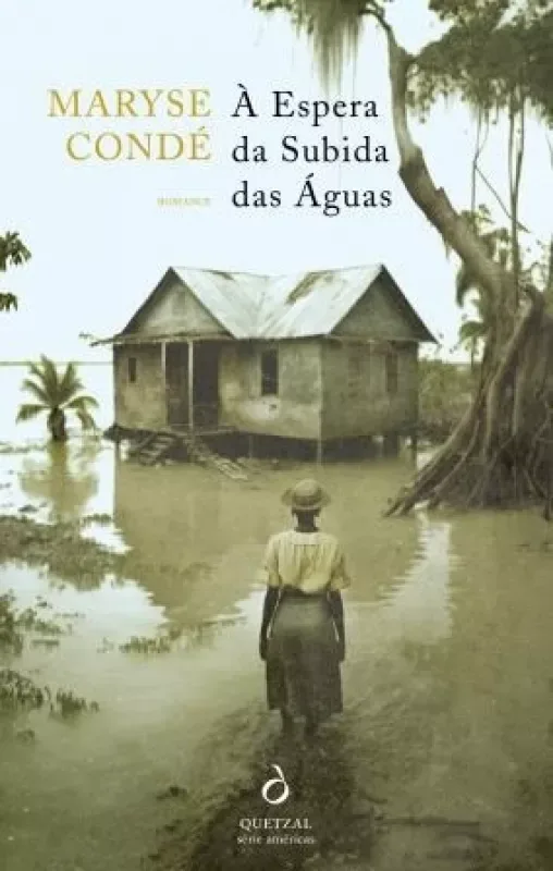 Imagem do produto  À Espera da Subida das Águas