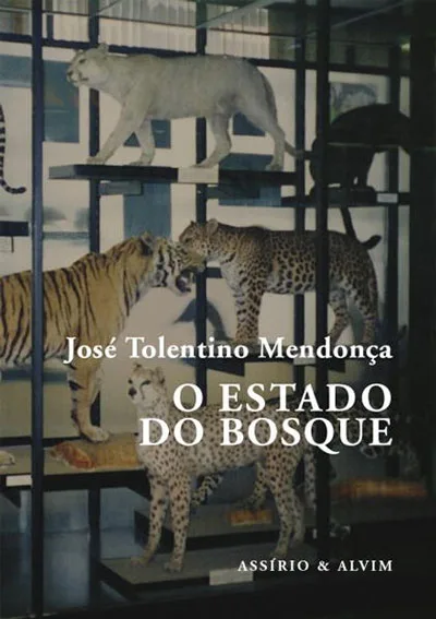 Imagem do produto  O Estado do Bosque