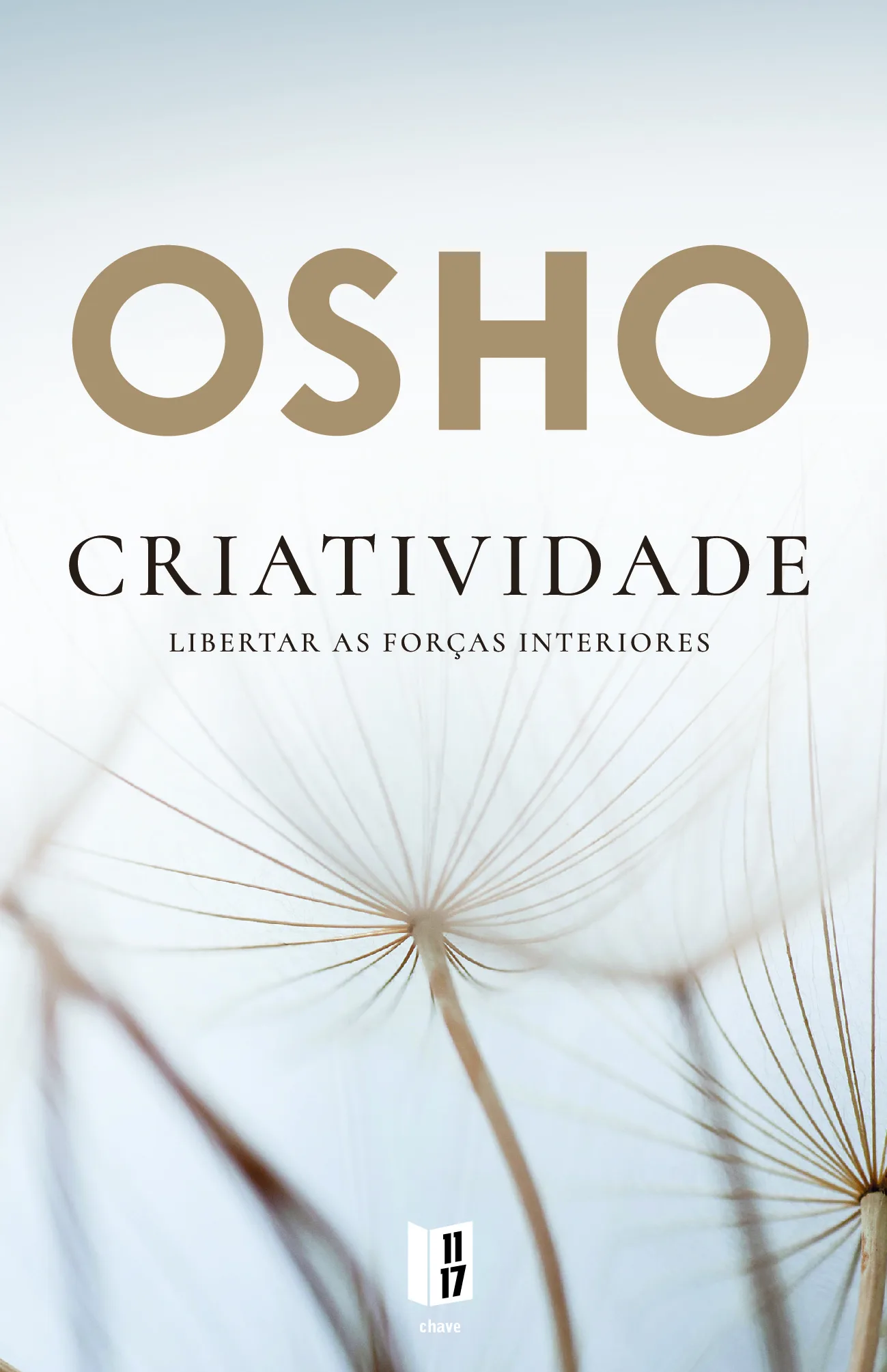 Imagem do produto  Criatividade