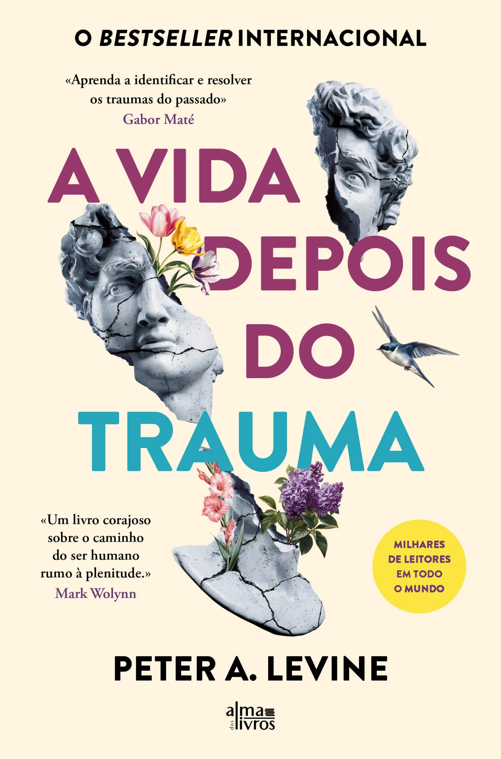 Imagem do produto  A Vida Depois do Trauma