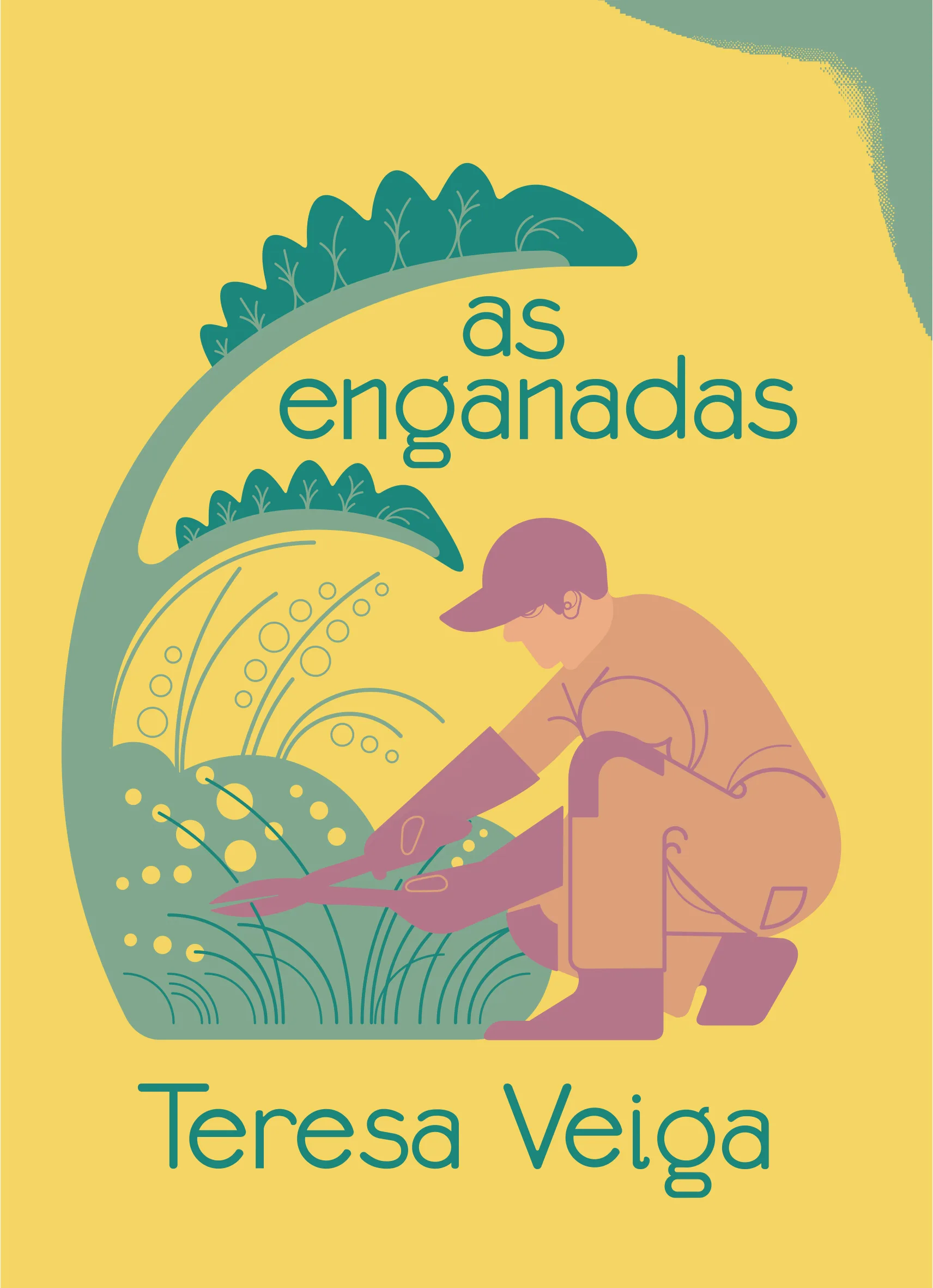 Imagem do produto  As Enganadas