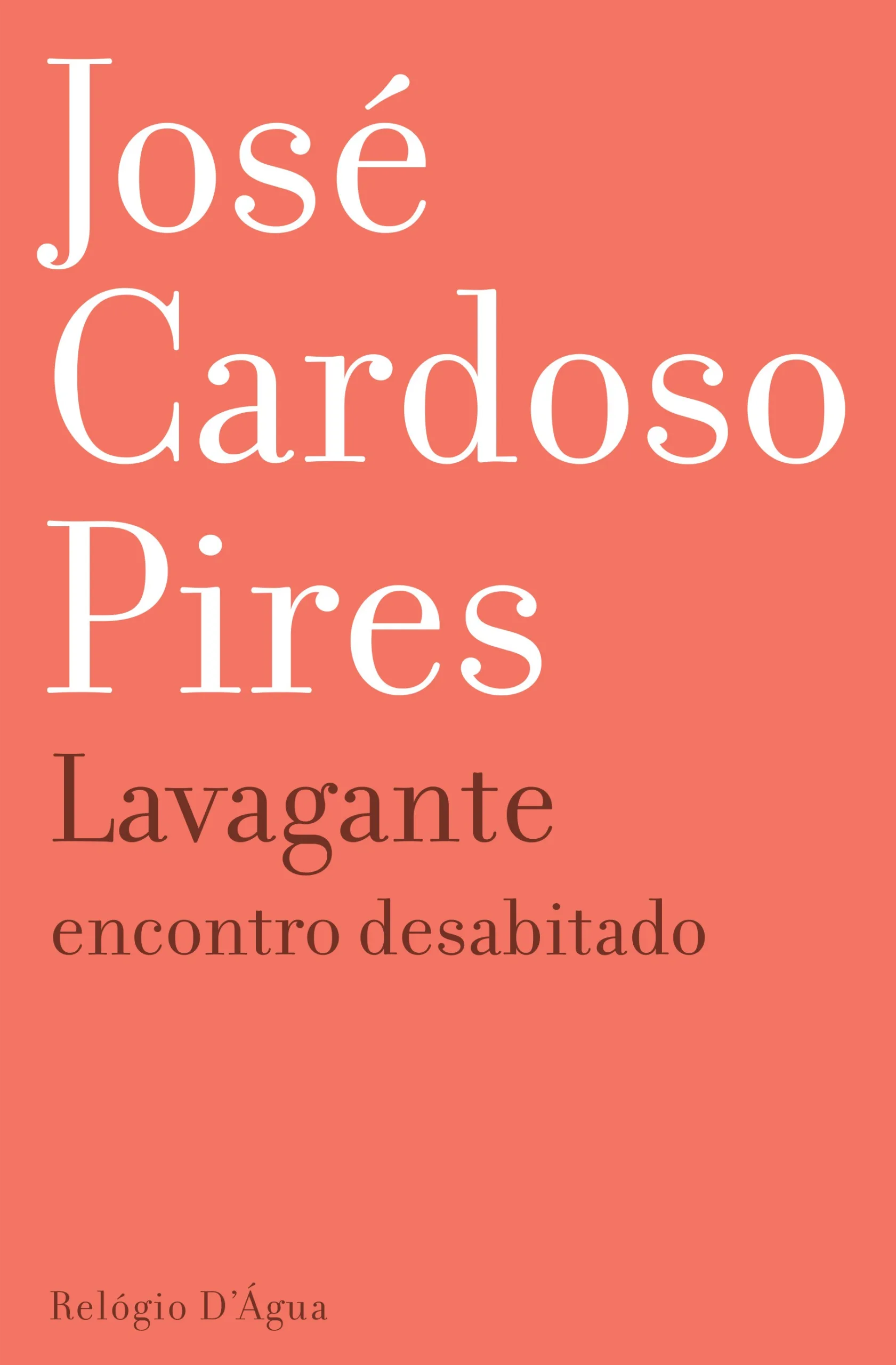 Imagem do produto  Lavagante - Encontro Desabitado