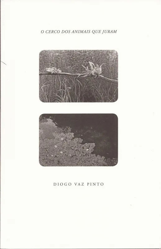 Imagem do produto  O Cerco dos Animais Que Juram