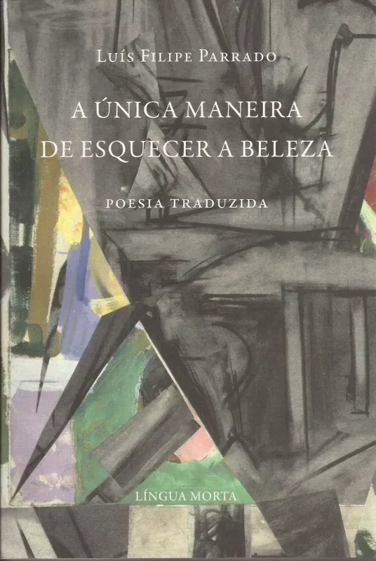 Imagem do produto  A Única Maneira de Esquecer a Beleza
