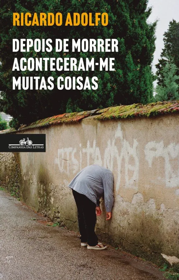 Imagem do produto  Depois de Morrer Aconteceram-me Muitas Coisas
