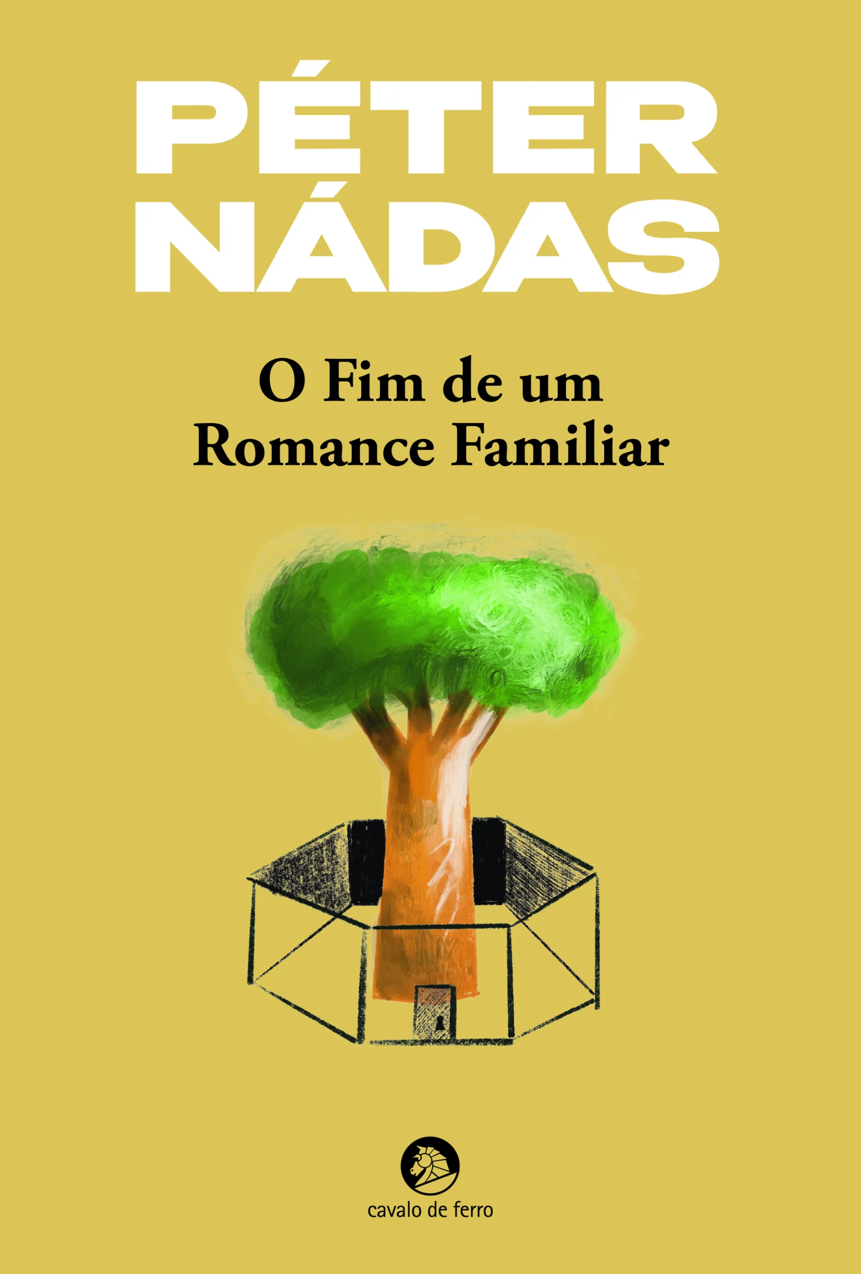 Imagem do produto  O Fim de um Romance Familiar