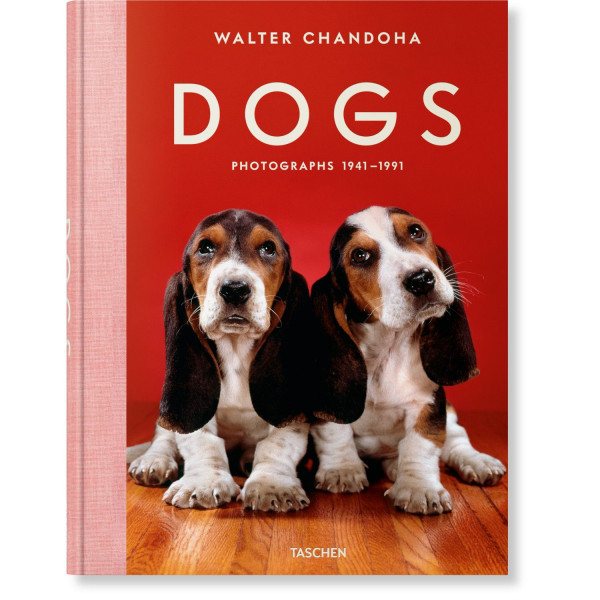 WALTER CHANDOHA. DOGS. PHOTOGRAPHS 1941–1991